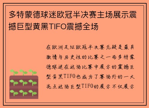 多特蒙德球迷欧冠半决赛主场展示震撼巨型黄黑TIFO震撼全场